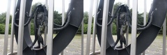 NertCam3DAuto-135307.jpg