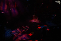 NertCam-33357