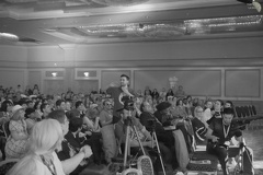 NertCam-314898.jpg