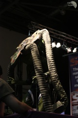 NertCam-88066.JPG