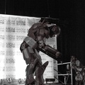 NertCam-147849