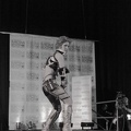 NertCam-148229