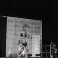 NertCam-148232