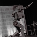 NertCam-148267