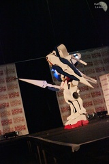 NertCam-148548.JPG