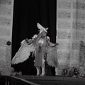 NertCam-148637