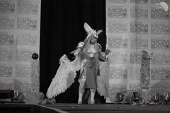 NertCam-148639.JPG