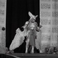 NertCam-148639