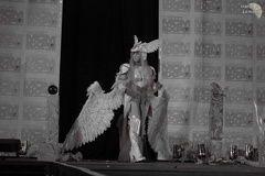 NertCam-148641.JPG