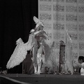 NertCam-148644