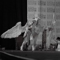 NertCam-148646