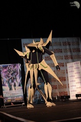 NertCam-149350.JPG