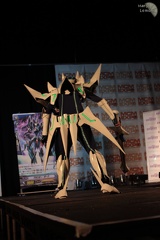 NertCam-149361.JPG