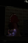 NertCam-149538
