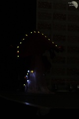 NertCam-149540.JPG