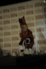 NertCam-183720.jpg