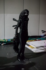 n8eCam-1058.JPG