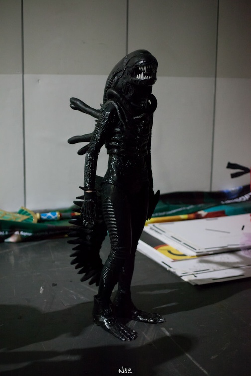 n8eCam-1058