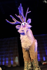NertCam-211201.jpg