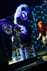 LuluCam-014154