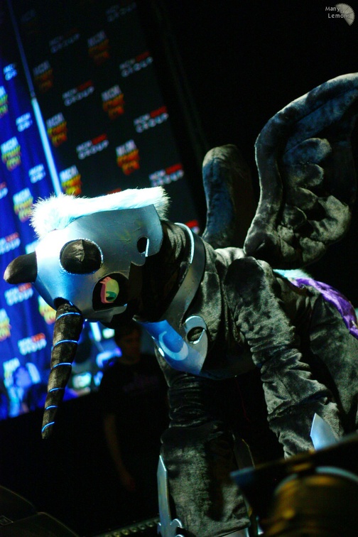 LuluCam-014171