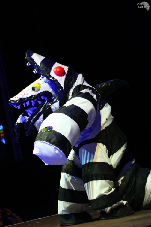 LuluCam-015483