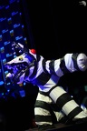 LuluCam-015495