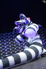 NertCam-272712.jpg