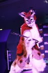 LuluCam-008748