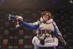 NertCam-388631