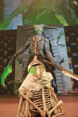 NertCam-1408814.jpg