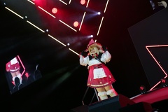 NertCam-617508