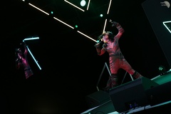 NertCam-620441