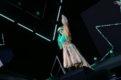 NertCam-620707