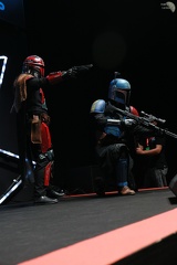 NertCam-513311.jpg