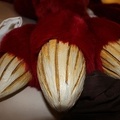 NertCam-00545