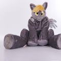 NertCam-247403