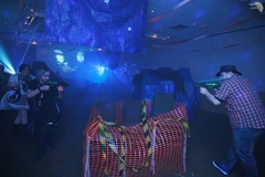 NertCam-1381011