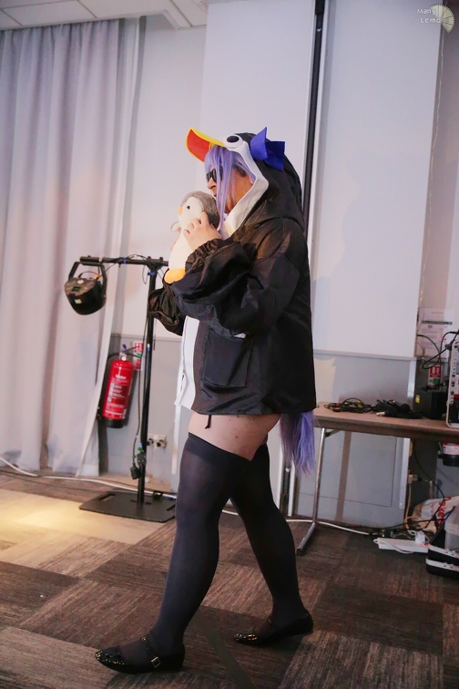 NertCam-610726