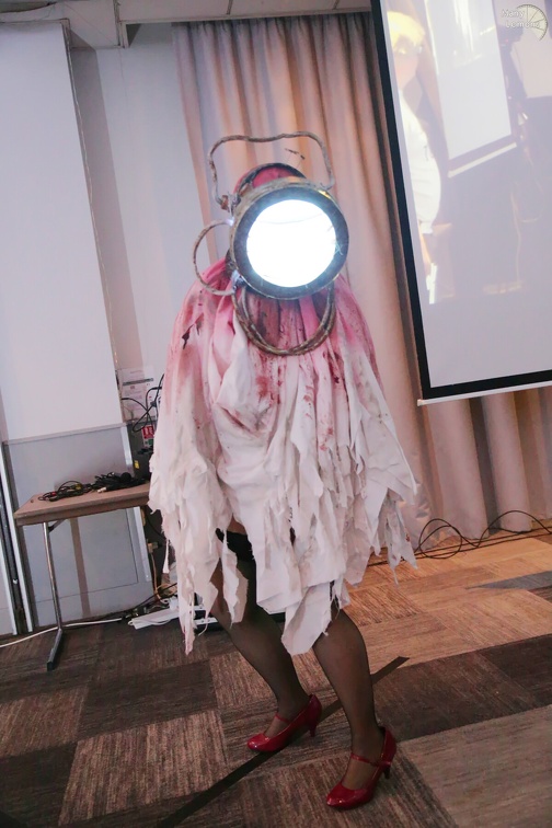 NertCam-610880