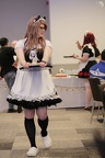 NertCam-612688