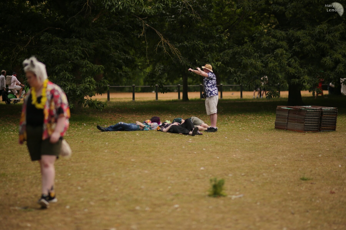 NertCam-622351.jpg