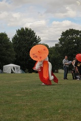 NertCam-365454.jpg