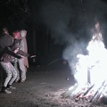 NertCam-368415